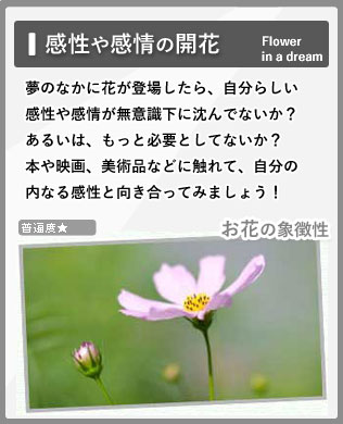 花flower シンボル辞典 夢と解釈のサイト